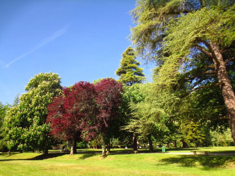 removing trespassers from a park