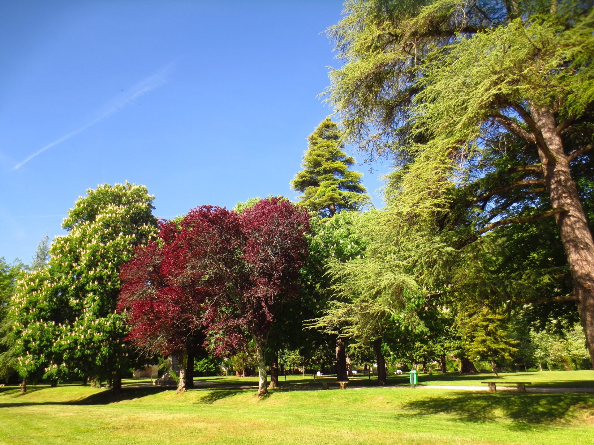 removing trespassers from a park